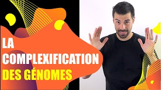 COURS DE TERMINALE SPÉCIALITÉ SVT  CHAP3 LA COMPLEXIFICATION DES GÉNOMES Bio Logique [upl. by Angelle]