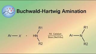 BuchwaldHartwig Amination Mechanism  Organic Chemistry [upl. by Avenej]