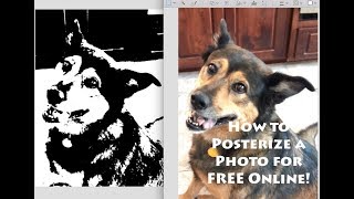 How to Posterize a Photo Online for Free without Photoshop [upl. by Gaiser]