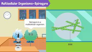 Cells Unicellular Organisms and Multicellular Organisms [upl. by Kennith101]