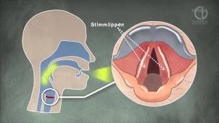 ChorVerband NRW Tutorial Stimmbildung Animation [upl. by Bord380]