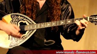 Bouzouki live improvisation [upl. by Salhcin]