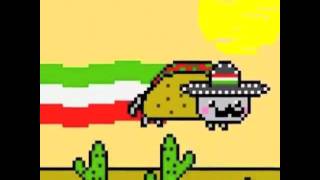 Mexican Nyan Cat  Super Alpha Extended Version [upl. by Atiner622]