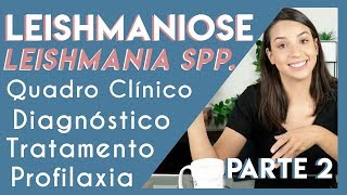 Leishmaniose Leishmania spp  Parte 2  PARASITOLOGIA 5 [upl. by Trilby672]