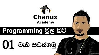 Sinhala Programming Basics lesson 01 [upl. by Nirual61]