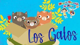 Curiosidades de los Gatos Videos Educativos para Niños [upl. by Vanessa207]