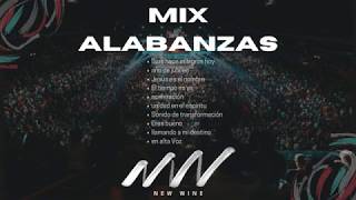 MÚSICA CRISTIANA  ALABANZAS  New Wine  MIX  GOZO [upl. by Rennie623]