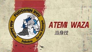 Atemi Waza Selfdefense Explained  Fudoshinryu Aiki Jujutsu [upl. by Esiuole371]