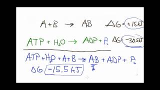 Lets Think about reaction coupling [upl. by Wehttan]