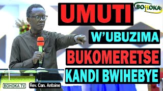 Rev Dr Antoine RUTAYISIRE Menya UMUTI wubuzima BUKOMERETSE KANDI BWIHEBYE ibibazo nibisubizo [upl. by Babs]