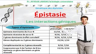 épistasie les interactions géniques [upl. by Lenni145]