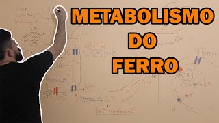 Metabolismo do ferro [upl. by Englis606]