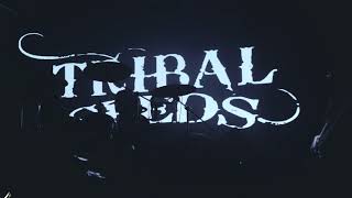 Tribal Seeds  Moonlight Live  The 2020 Sessions [upl. by Berardo836]