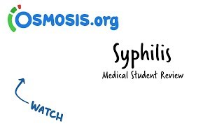 Syphilis  Clinical Presentation [upl. by Ungley]