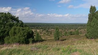 Lüneburger Heide Teil 1  Wanderung auf den Wilseder Berg [upl. by Odrick]