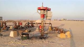 PCP pump Wellhead [upl. by Poliard]