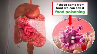 Food Poisoning Shiga ToxinProducing E coli [upl. by Aneerahs]