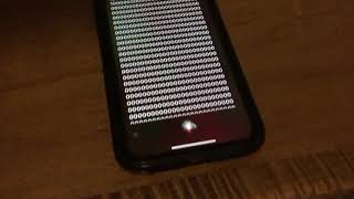 Siri reading zeros for 11 minutes [upl. by Dolores619]