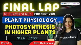 Phoenix 20 Biology Most Important Video for NEET 2025  Udaan [upl. by Eceinhoj138]