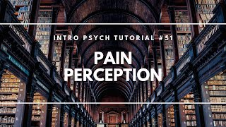 Pain Perception Intro Psych Tutorial 51 [upl. by Lorolla12]