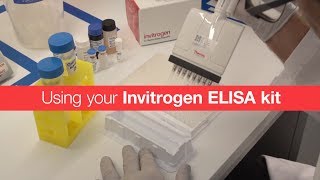 Using your Invitrogen ELISA kit [upl. by Aba]