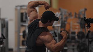 IFBB Pro Arm Workout [upl. by Lehcer183]