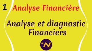 1 Analyse financière  Diagnostic financier [upl. by Adnimra]