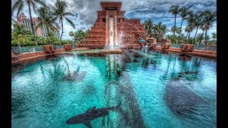 LEAP OF FAITH HD POV Atlantis Water Slide  Bahamas [upl. by Etnovahs]