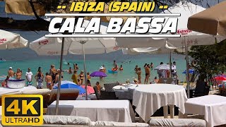 Cala Bassa Ibiza  Spain [upl. by Akeemahs]