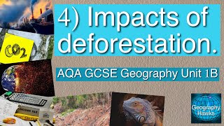 4 Impacts of deforestation  AQA GCSE Geography Unit 1B [upl. by Cohe559]