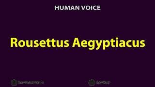 How To Pronounce Rousettus Aegyptiacus [upl. by Aikemit]