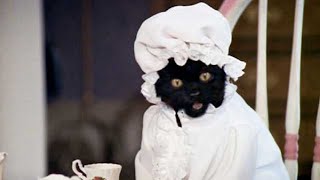 9 Funniest Salem the Cat Moments [upl. by Letizia]