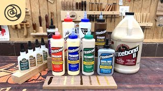 Woodworkers Guide to Titebond Glue [upl. by Aisanahta457]