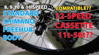 SHIMANO HG FREEHUB BODY COMPATIBLE TO 12Speed CASSETTE 1150 [upl. by Novert]