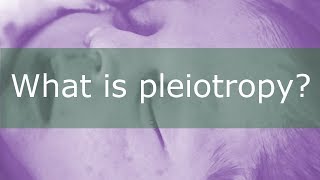 What is Pleiotropy [upl. by Ykcub782]