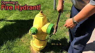 How a Fire Hydrant Works [upl. by Darrin130]