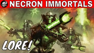 NECRON IMMORTALS IN WARHAMMER 40000 [upl. by Kelby]