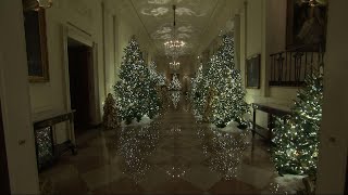 White House unveils 2019 Christmas decorations [upl. by Lucille]