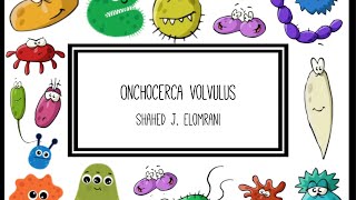 Onchocerca Volvulus [upl. by Trilby]