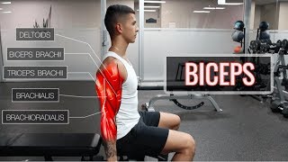 The Best ScienceBased Bicep Workout  ARMS Part 12 [upl. by Blight400]