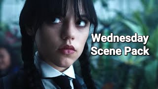 Wednesday Addams Twixtor Scene Pack1080P [upl. by Htidirrem606]