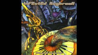 Infected Mushroom  Classical Mushroom  Full Album [upl. by Annaegroeg]