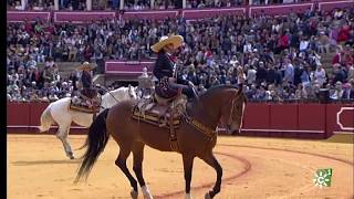 Real Maestranza de Caballería de Sevilla Medalla de Andalucía 2020  Enganches de Sevilla 2018 [upl. by Dnanidref885]