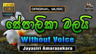 Sepalika Malai ❤️ සේපාලිකා මලයි  Karaoke Without Voice  Jayasiri Amarasekara [upl. by Kumagai]