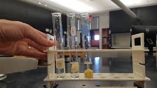 Lab 14 Enzyme activity experiment [upl. by Toddy581]