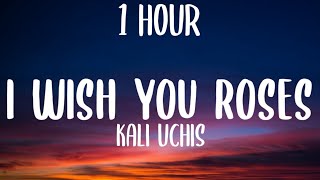 Kali Uchis  I Wish you Roses 1 HOURLyrics [upl. by Assirehs8]