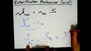 How to Make Esters Mechanism [upl. by Nitsyrc464]