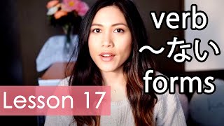 Learn Japanese  Minna No Nihongo Lesson 17 Grammar [upl. by Lamiv]