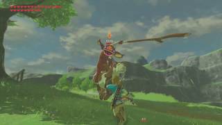 Everything You Can Parry in Breath of the Wild  UPDATED [upl. by Shutz]