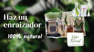 Haz un enraizador casero 100 natural 2021 [upl. by Tanah]